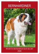 Cover-Bild zum Titel 'Bernhardiner - Mit dem St. Bernhardshund durch das Jahr (Wandkalender 2026 DIN A2 hoch), CALVENDO Monatskalender' von 'Sigrid Starick'