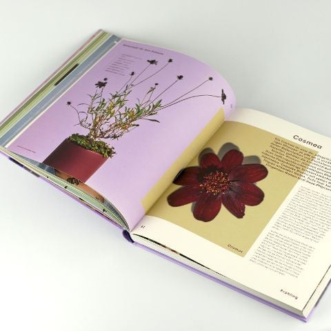 InsideView 6