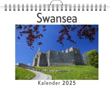 Cover-Bild zum Titel 'Swansea' von 'Julian Weber'