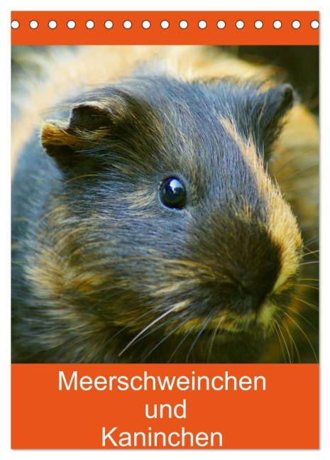 Meerschweinchen und Kaninchen Familienplaner (Tischkalender 2026 DIN A5 hoch), CALVENDO Monatskalender - Kattobello Kattobello