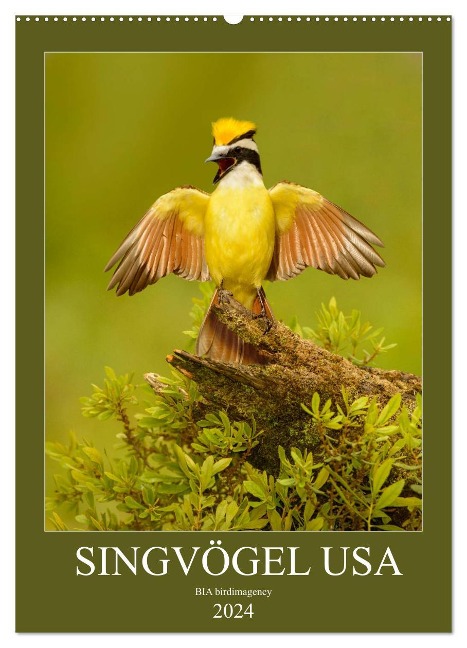 Singvögel USA (Wandkalender 2024 DIN A2 hoch), CALVENDO Monatskalender - Bia Birdimagency