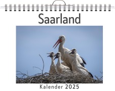 Cover-Bild zum Titel 'Saarland' von 'Ella Bauer'