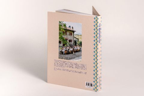 InsideView 2