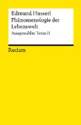 Cover-Bild zum Titel 'Phänomenologie der Lebenswelt' von 'Edmund Husserl'