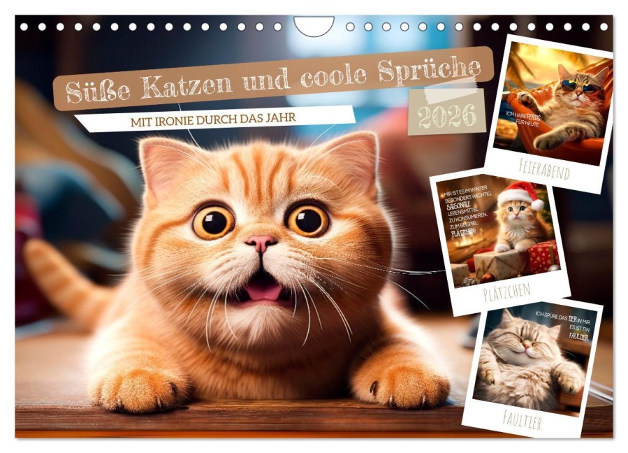 Süße Katzen und coole Sprüche (Wandkalender 2026 DIN A4 quer), CALVENDO Monatskalender - Melanie Viola