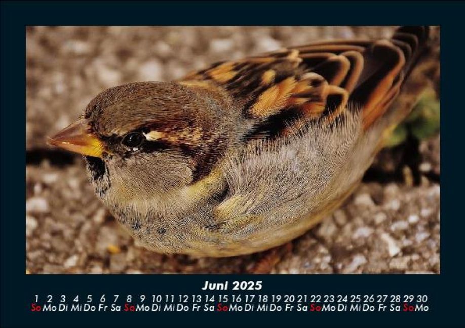 InsideView 10