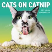 Cover-Bild zum Titel 'Cats on Catnip Wall Calendar 2027' von 'Andrew Marttila, Workman Calendars'