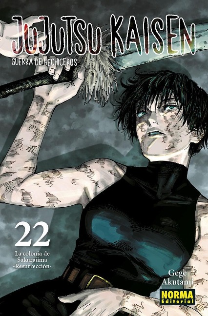 JUJUTSU KAISEN 22 - 