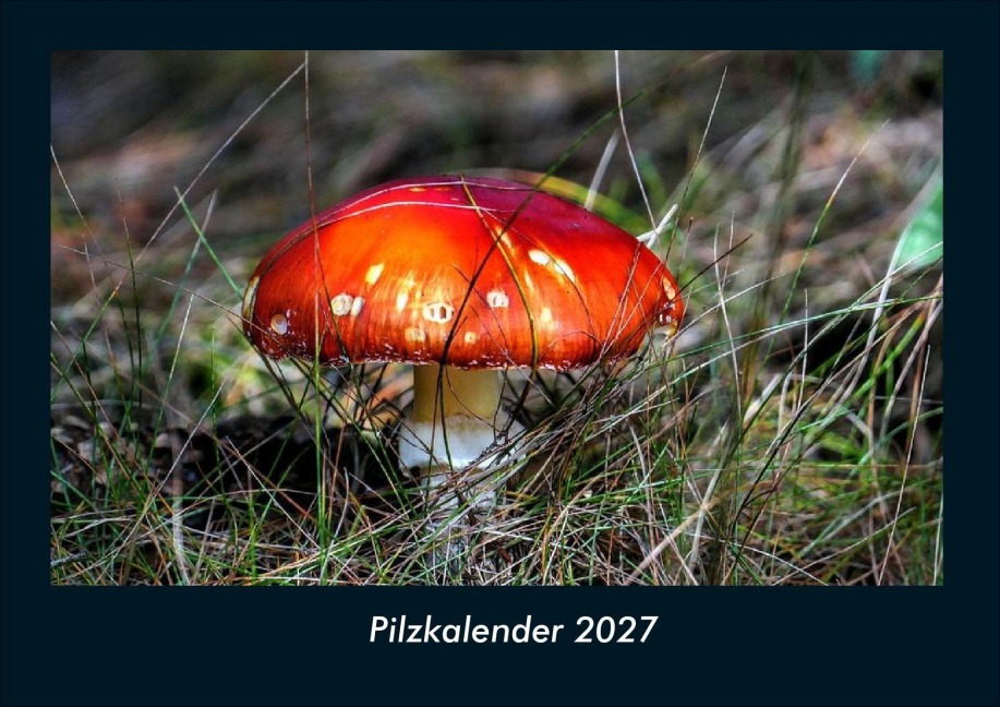 Pilzkalender 2027 Fotokalender DIN A4 - Tobias Schmitt, Kevin Heber