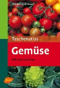 Taschenatlas Gemüse - Elke Mattheus-Staack