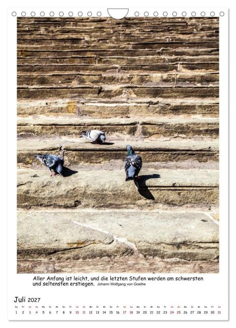 InsideView 12