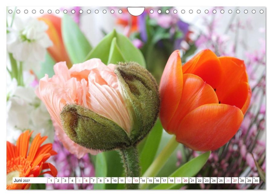 InsideView 11