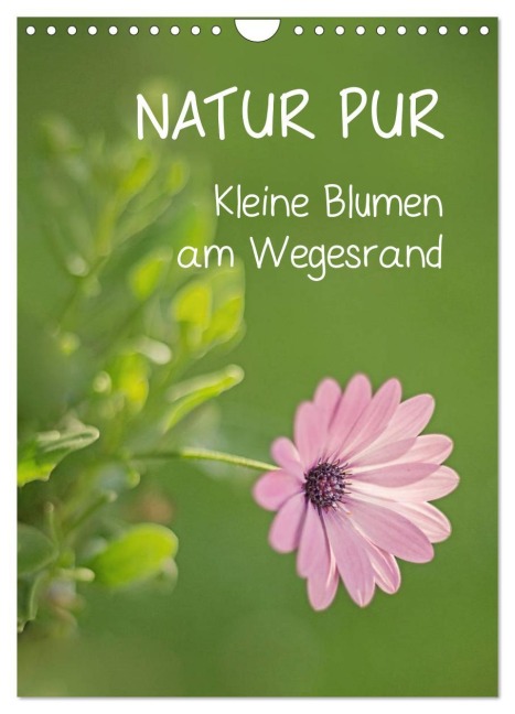 NATUR PUR Kleine Blumen am Wegesrand (Wandkalender 2026 DIN A4 hoch), CALVENDO Monatskalender - Karin Dietzel