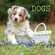 Cover-Bild zum Titel 'Dogs 2027' von ''
