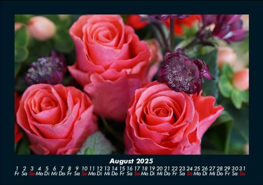 InsideView 12