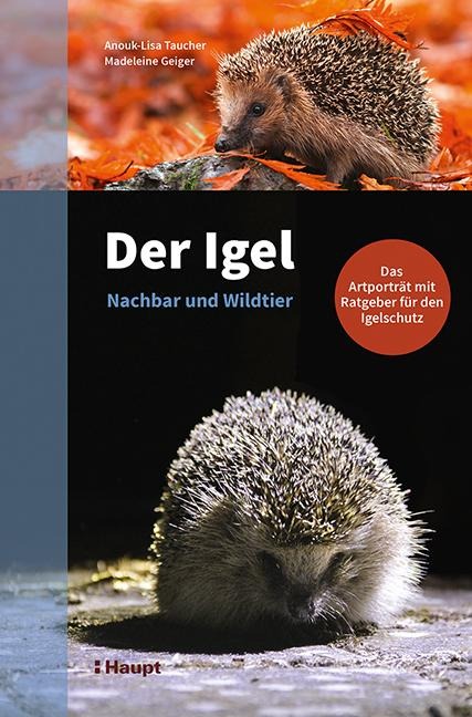 Der Igel - Nachbar und Wildtier - Anouk-Lisa Taucher, Madeleine Geiger