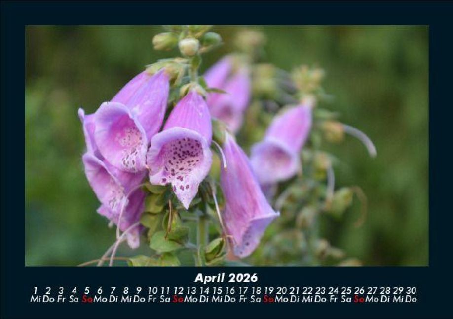 InsideView 8