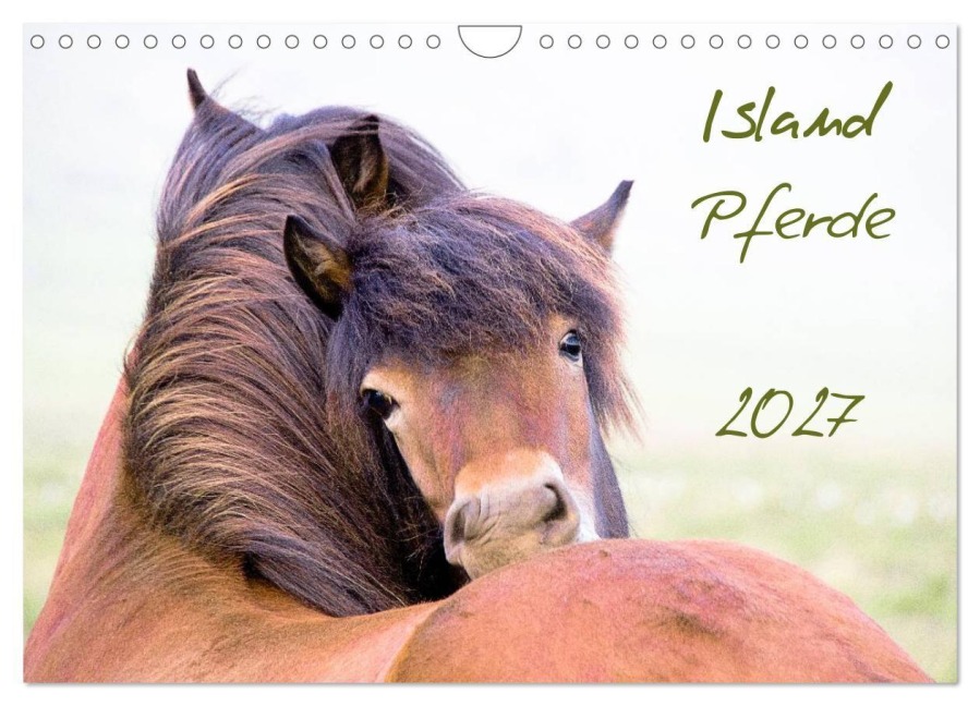 Islandpferde (Wandkalender 2027 DIN A4 quer), CALVENDO Monatskalender - Frauke Gimpel
