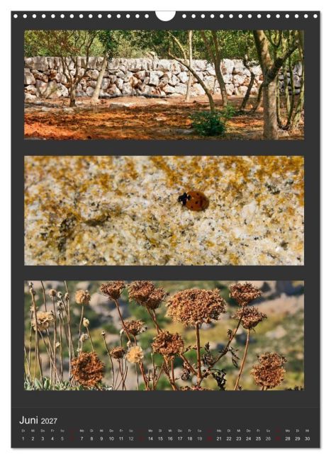 InsideView 11