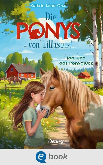 Die Ponys von Lillasund 1. Ida und das Ponyglück - Kathrin Lena Orso