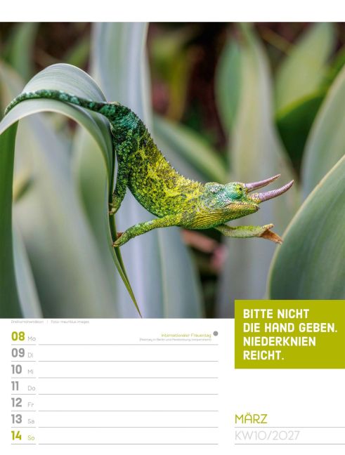 InsideView 14