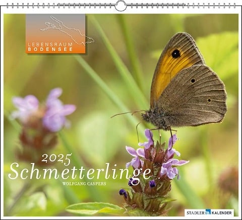 Lebensraum Bodensee - Schmetterlinge 2025 - 