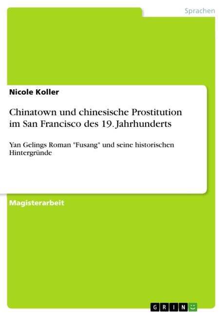 Chinatown und chinesische Prostitution im San Francisco des 19. Jahrhunderts - Nicole Koller