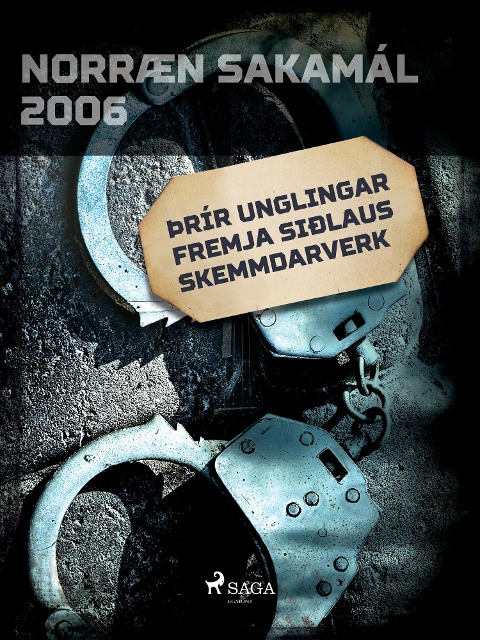 Þrír unglingar fremja siðlaus skemmdarverk - Forfattere
