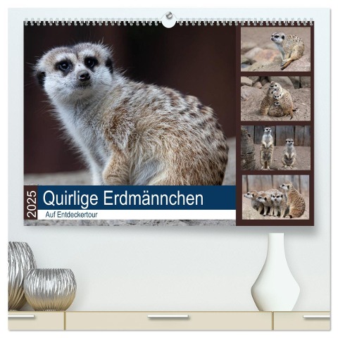 Quirlige Erdmännchen (hochwertiger Premium Wandkalender 2025 DIN A2 quer), Kunstdruck in Hochglanz - Manuela Falke