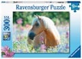Cover-Bild zum Titel 'Ravensburger Kinderpuzzle - Pferd im Blumenmeer - 300 Teile Puzzle für Kinder ab 9 Jahren' von ''
