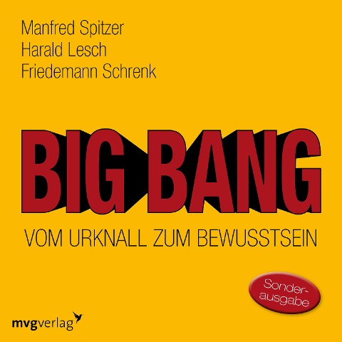 Big Bang: Vom Urknall zum Bewusstsein - Harald Lesch, Friedemann Schrenk, Manfred Spitzer