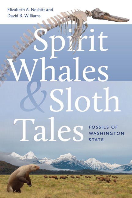Spirit Whales and Sloth Tales - Elizabeth A. Nesbitt, David B. Williams