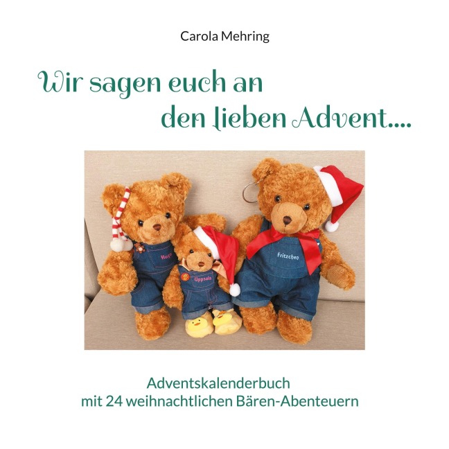 Wir sagen euch an den lieben Advent.... - Carola Mehring
