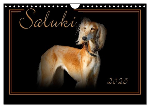 Saluki 2025 (Wandkalender 2025 DIN A4 quer), CALVENDO Monatskalender - Andrea Redecker