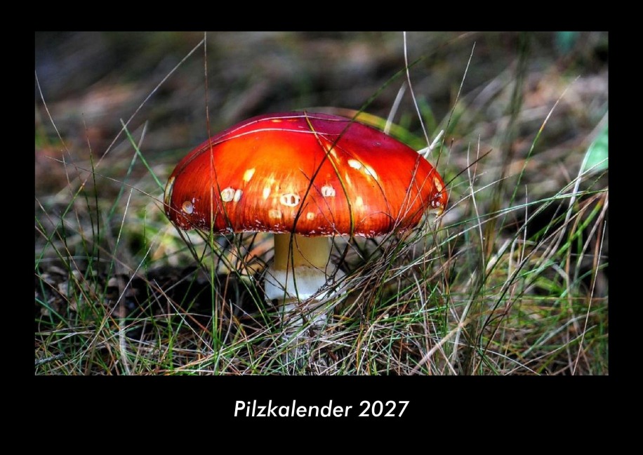 Pilzkalender 2027 Fotokalender DIN A3 - Tobias Becker