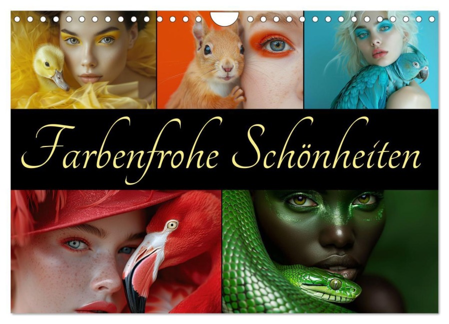 Farbenfrohe Schönheiten (Wandkalender 2026 DIN A4 quer), CALVENDO Monatskalender - Cathrin Illgen