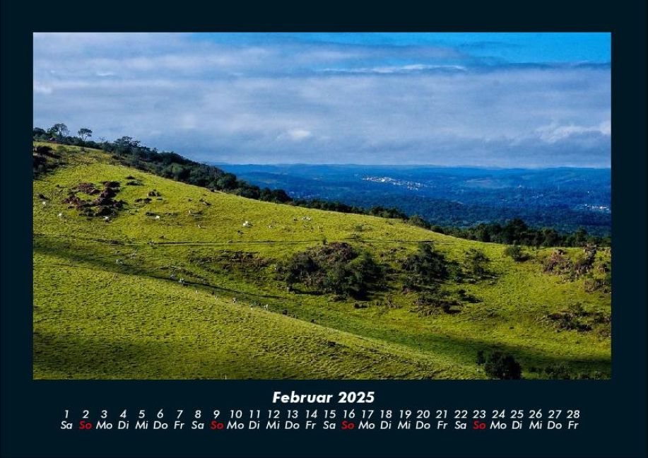 InsideView 6