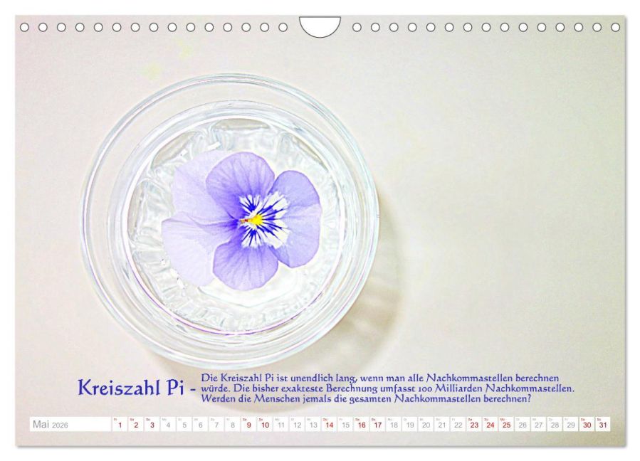 InsideView 10