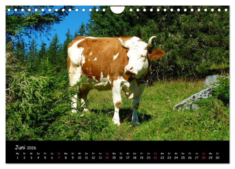 InsideView 11