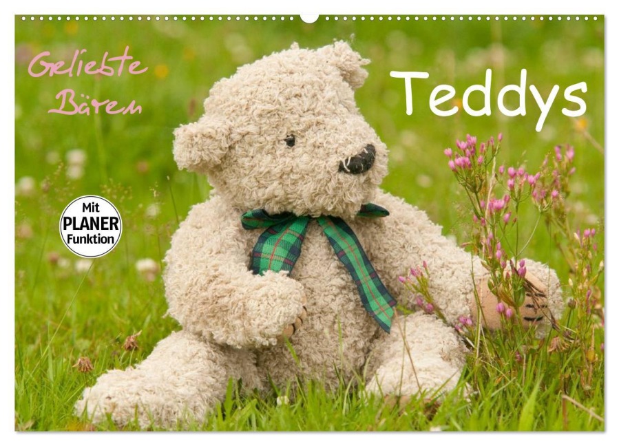 Geliebte Bären - Teddys (Wandkalender 2026 DIN A2 quer), CALVENDO Monatskalender - Meike Bölts