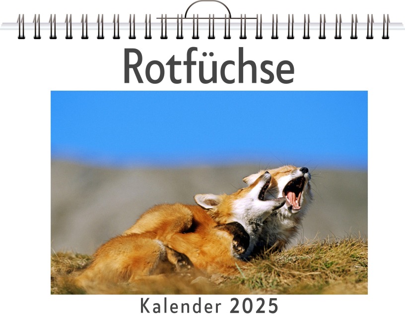 Rotfüchse - Luca Schmitt