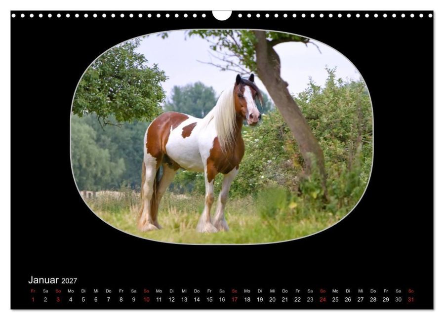 InsideView 6