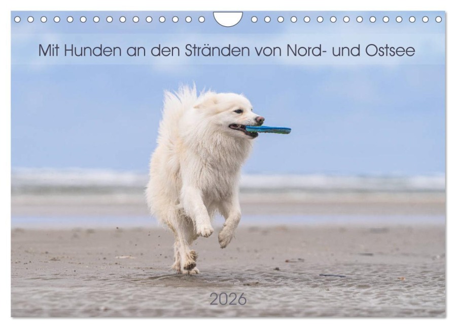 Mit Hunden an den Stränden von Nord- und Ostsee (Wandkalender 2026 DIN A4 quer), CALVENDO Monatskalender - Monika Scheurer