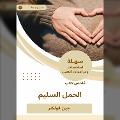 Cover-Bild zum Titel 'Summary of a proper pregnancy book' von 'Jin Volkner'