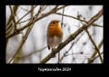 Vogelparadies 2024 Fotokalender DIN A3 - Tobias Becker