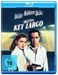 Cover-Bild zum Titel 'Gangster in Key Largo' von 'Richard Brooks, John Huston, Maxwell Anderson, Max Steiner'