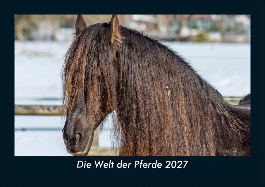 Die Welt der Pferde 2027 Fotokalender DIN A5 - Tobias Schmitt, Kevin Heber
