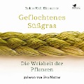 Geflochtenes Süßgras. Die Weisheit der Pflanzen - Robin Wall Kimmerer