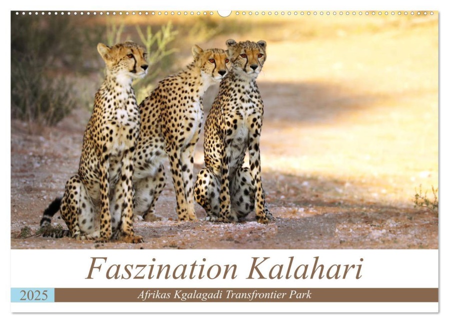 Faszination Kalahari (Wandkalender 2025 DIN A2 quer), CALVENDO Monatskalender - Wibke Woyke