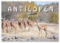 Antilopen, schön und schnell (Wandkalender 2025 DIN A3 quer), CALVENDO Monatskalender - Robert Styppa